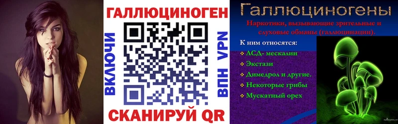 Купить  Усть-Джегута  Псилоцибиновые грибы Psilocybine cubensis 