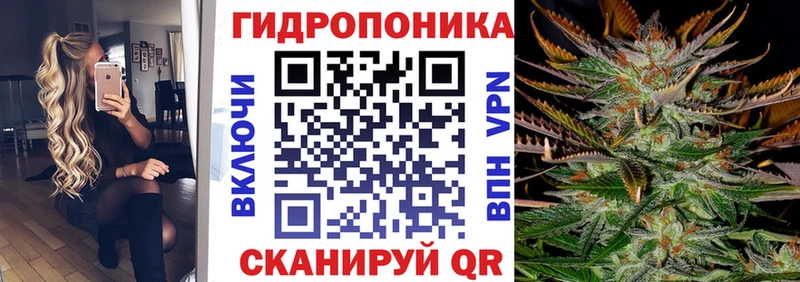 Купить закладки  Усть-Джегута  Шишки марихуана OG Kush 